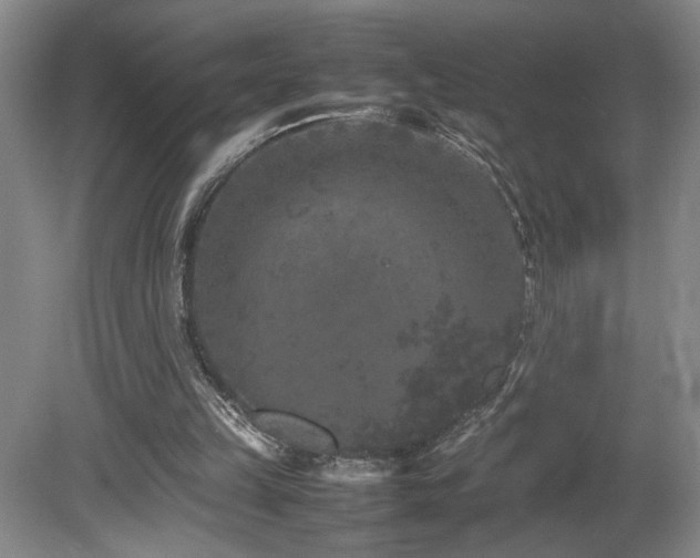 X0000082170149200701191316