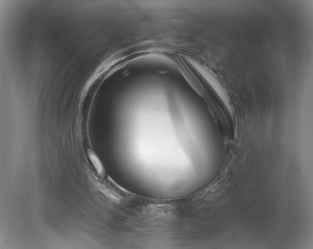 X0000082170150200701191316