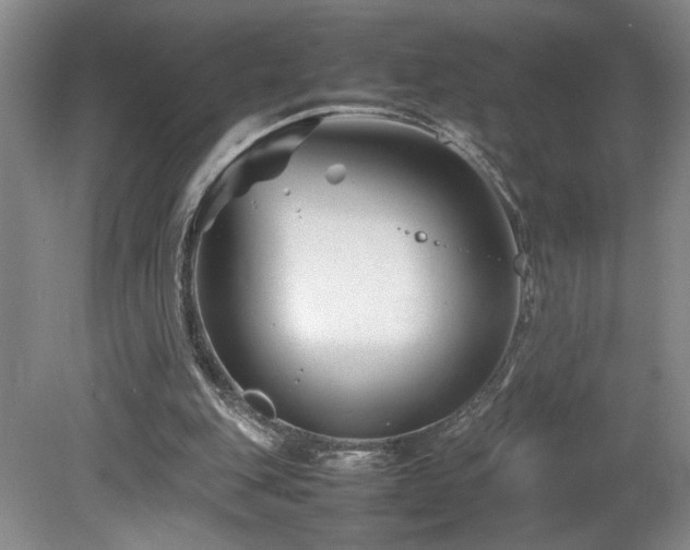 X0000082170151200701191316