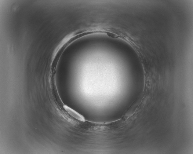 X0000082170152200701191316