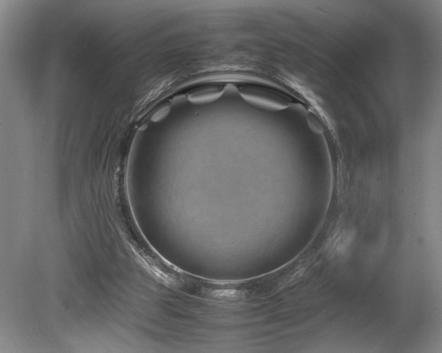 X0000082170153200701191316