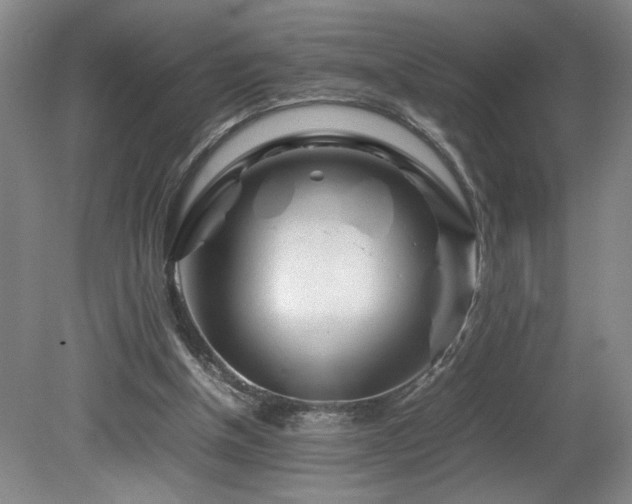 X0000082170154200701191316