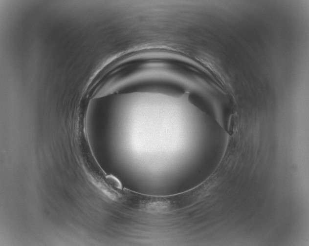 X0000082170156200701191316