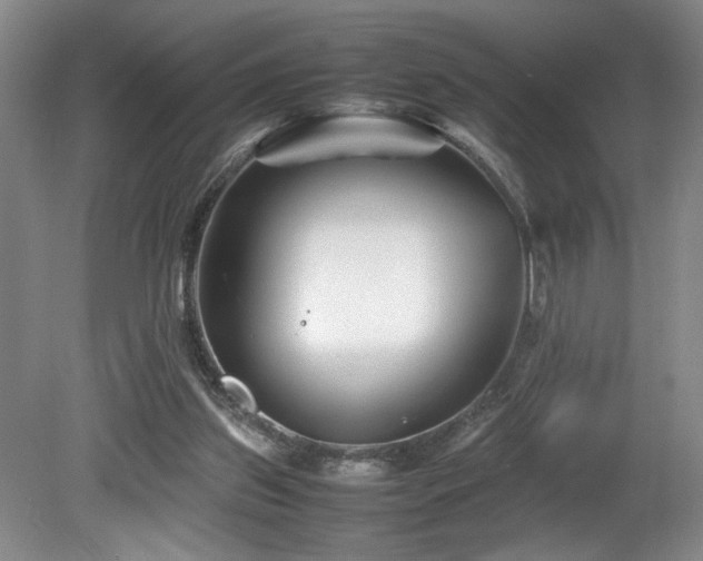 X0000082170157200701191316