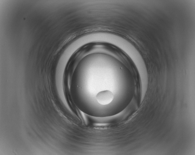 X0000082170158200701191316