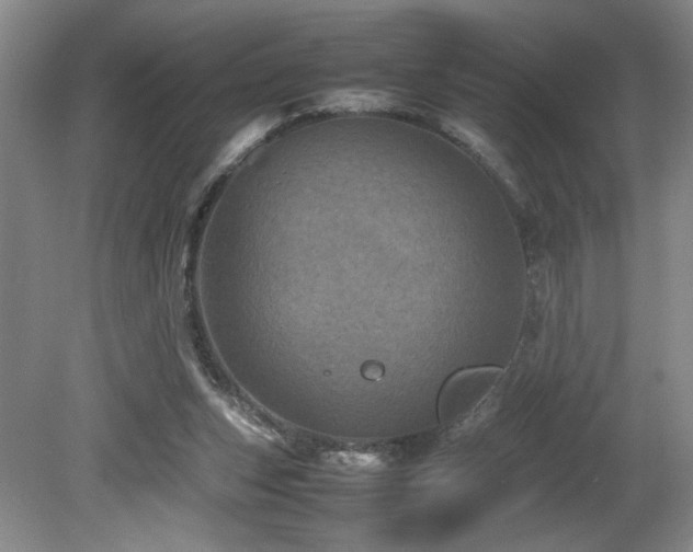 X0000082170159200701191316