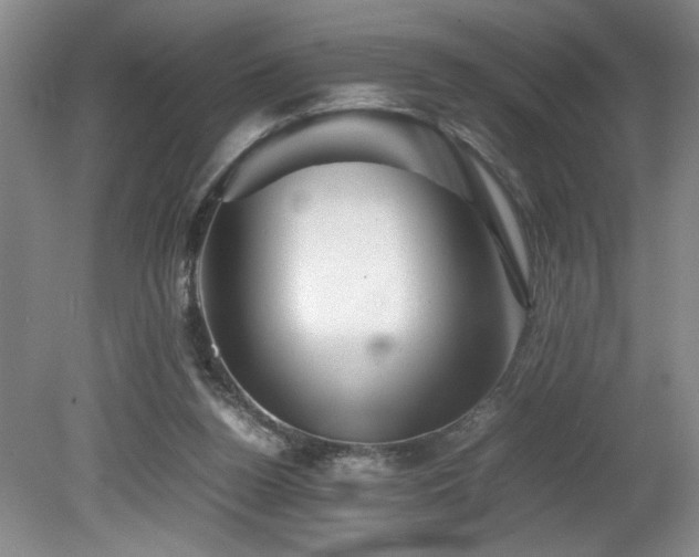 X0000082170160200701191316