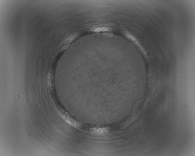 X0000082170161200701191316