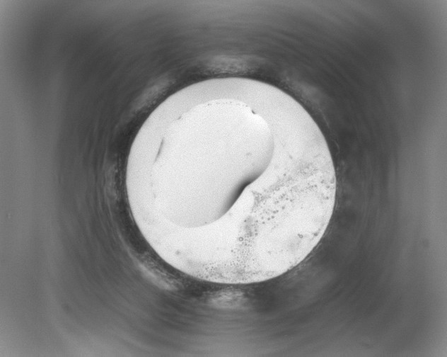 X0000082170162200701191316