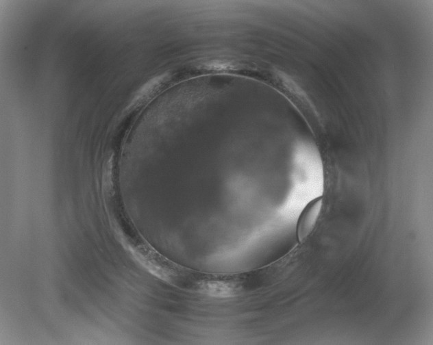 X0000082170163200701191316