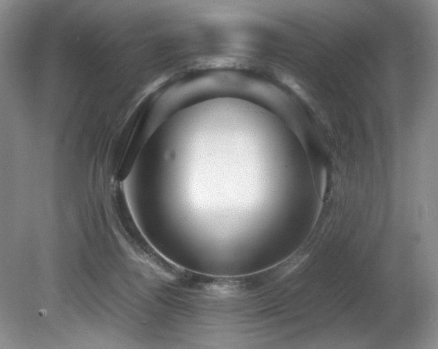 X0000082170164200701191316