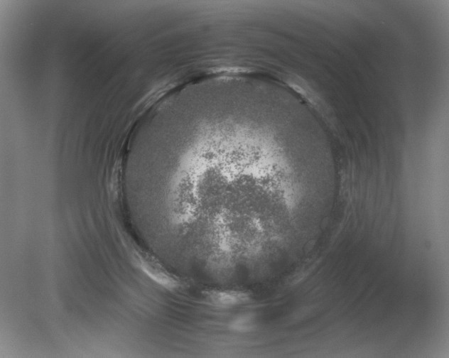 X0000082170165200701191316