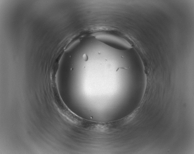 X0000082170166200701191316