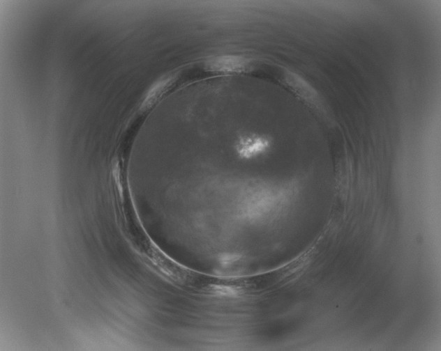 X0000082170167200701191316