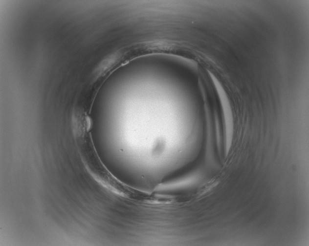 X0000082170168200701191316