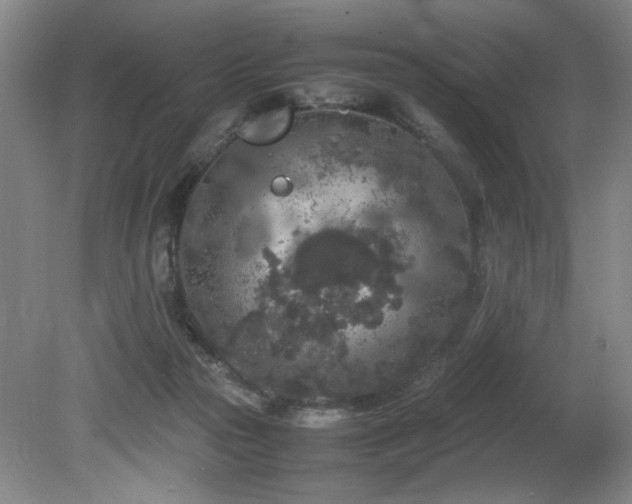 X0000082170169200701191317