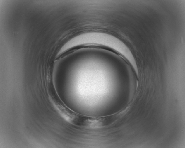 X0000082170170200701191317