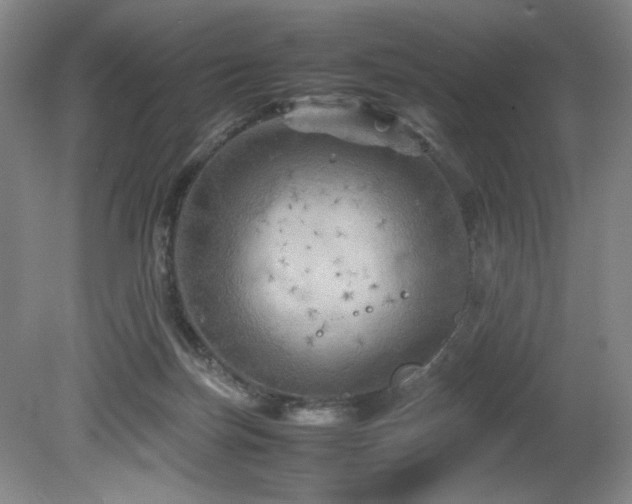 X0000082170171200701191317