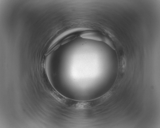 X0000082170172200701191317