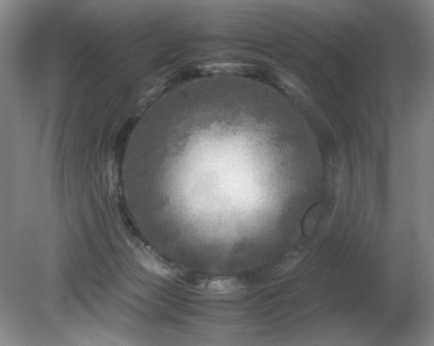 X0000082170173200701191317