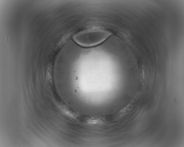 X0000082170175200701191317