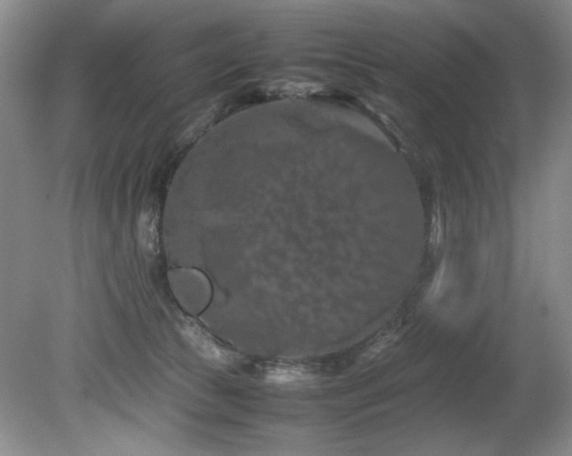 X0000082170177200701191317