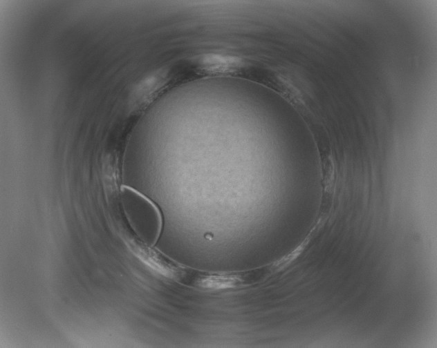 X0000082170179200701191317