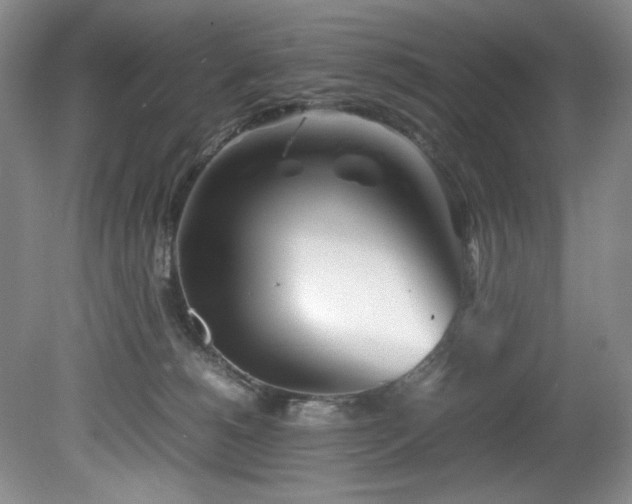 X0000082170180200701191317