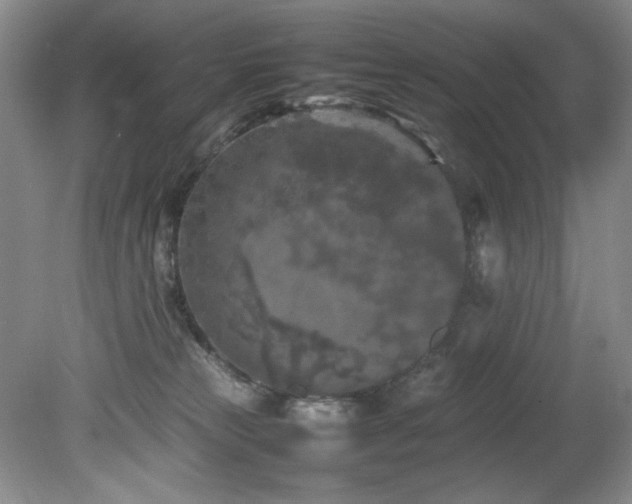 X0000082170181200701191317