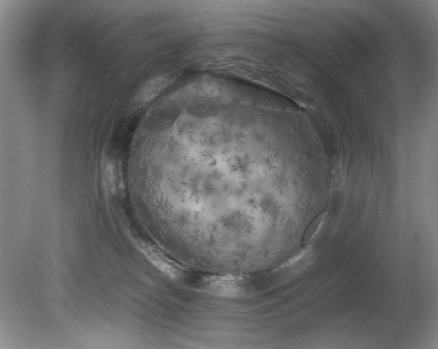 X0000082170182200701191317