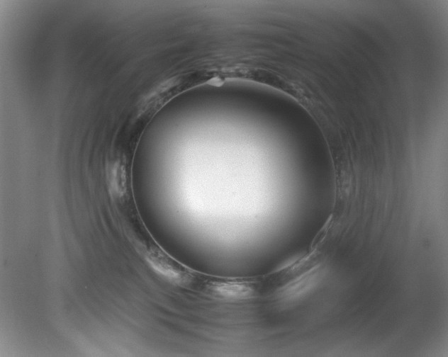 X0000082170183200701191317