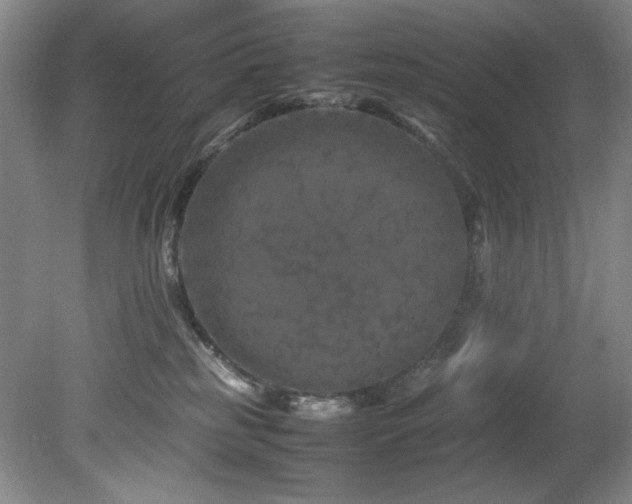 X0000082170185200701191317