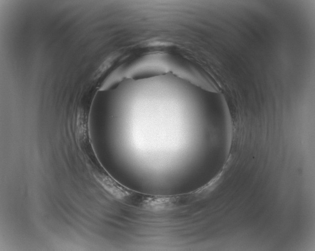 X0000082170186200701191317