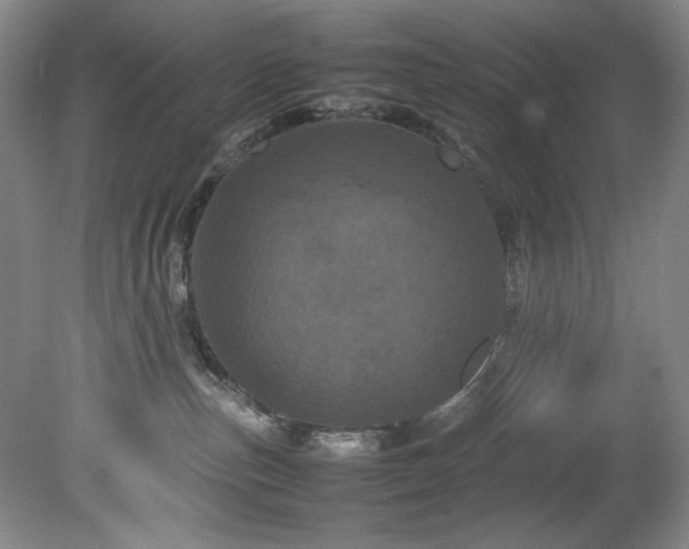 X0000082170187200701191317