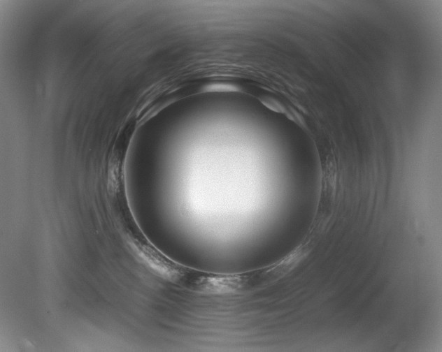 X0000082170188200701191317