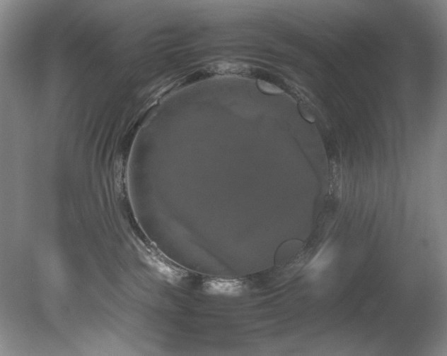 X0000082170189200701191317