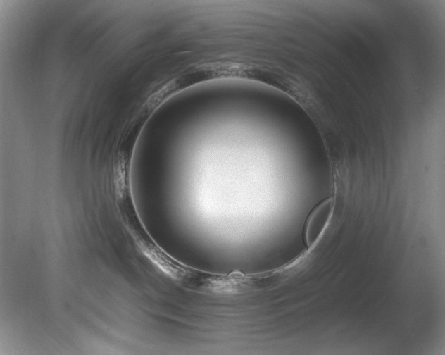 X0000082170190200701191317