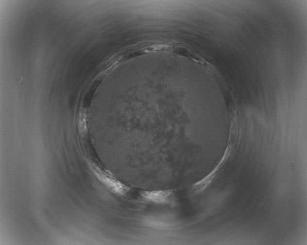 X0000082170191200701191317