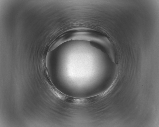 X0000082170192200701191317