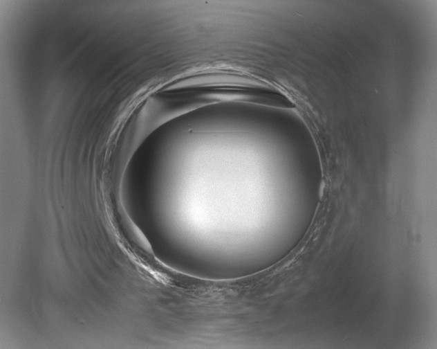 X0000082170193200701191316