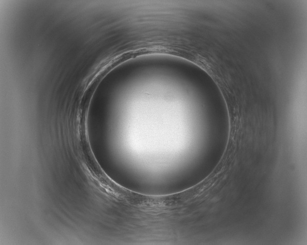 X0000082170194200701191316