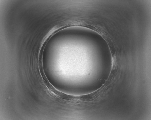 X0000082170195200701191316