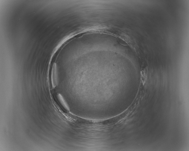 X0000082170196200701191316