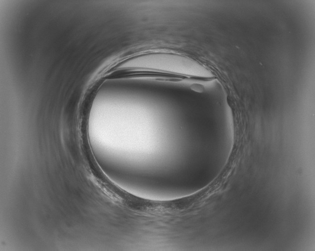 X0000082170197200701191316