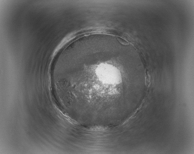 X0000082170198200701191316