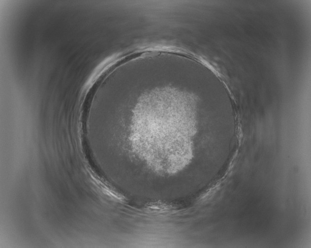 X0000082170199200701191316