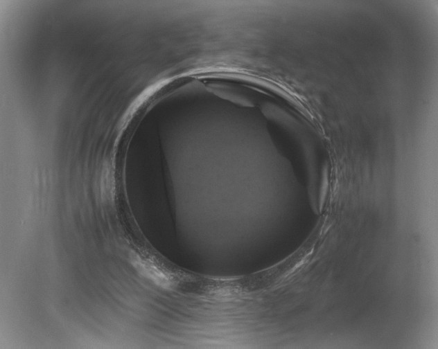 X0000082170200200701191316