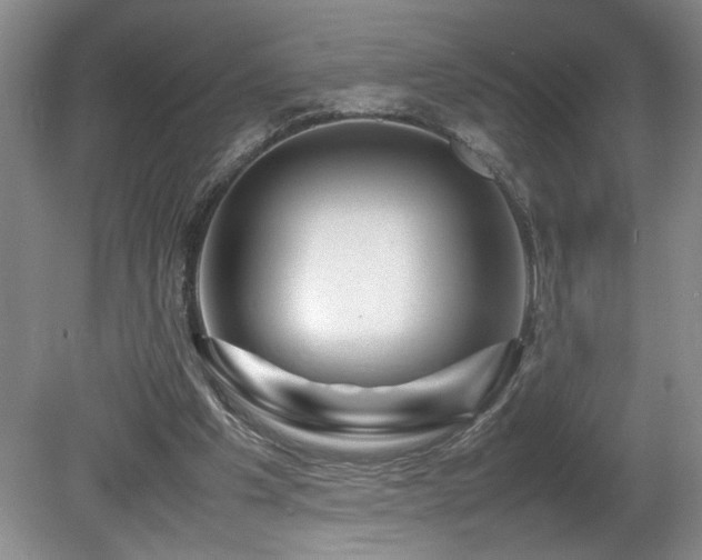 X0000082170201200701191316