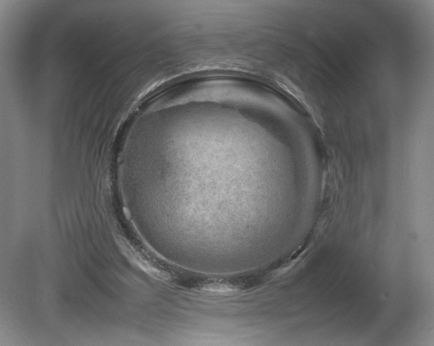 X0000082170203200701191316