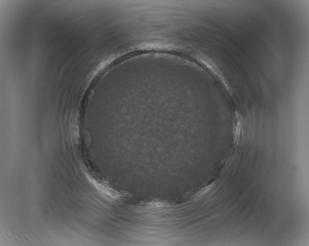 X0000082170204200701191316